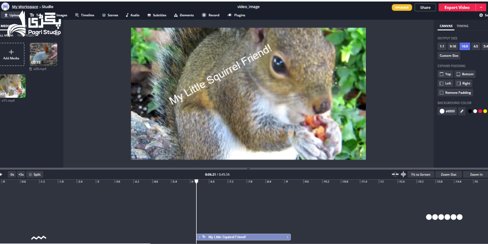 Kapwing-Video Editor