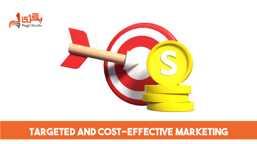 Targeted and Cost-Effective Marketing